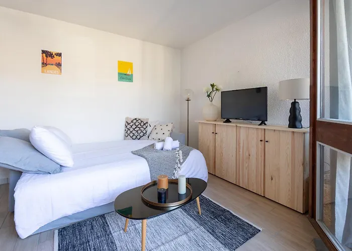 Studio Les Vacances Pour 2 Personnes A Andernos